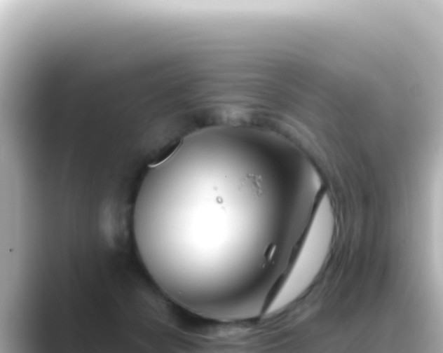 X0000089440462200706221232