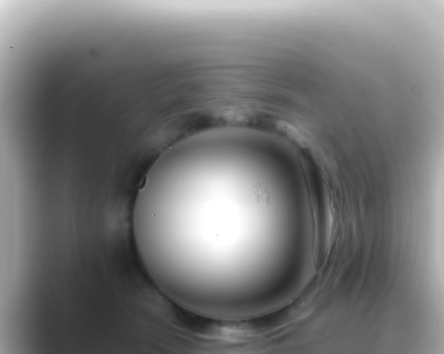 X0000089440466200706221232