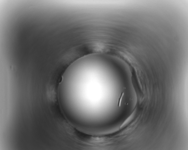 X0000089440469200706221232