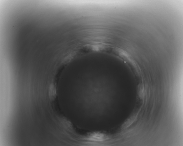 X0000089440471200706221232