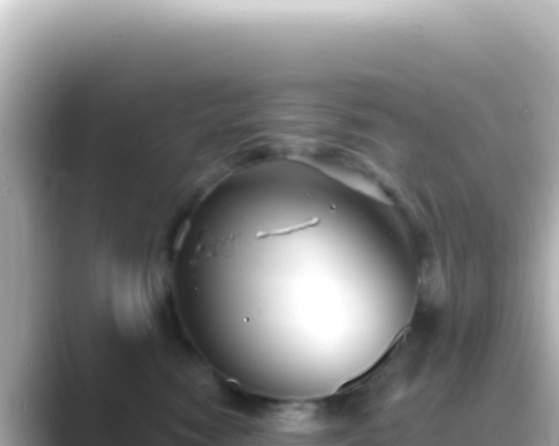 X0000089440474200706221232