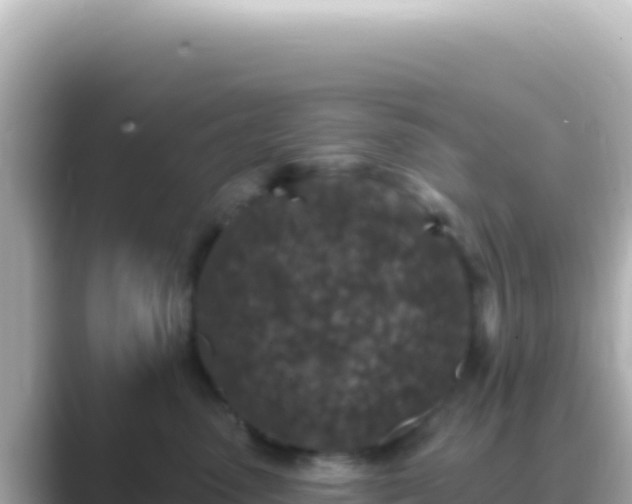 X0000089440475200706221232