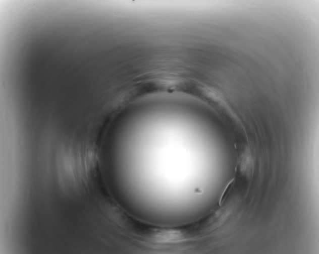 X0000089440476200706221232