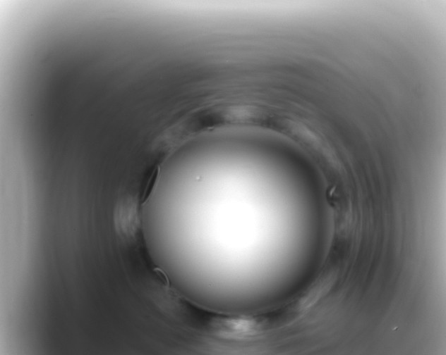 X0000089440478200706221232