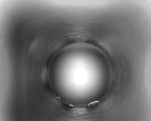 X0000089440480200706221232