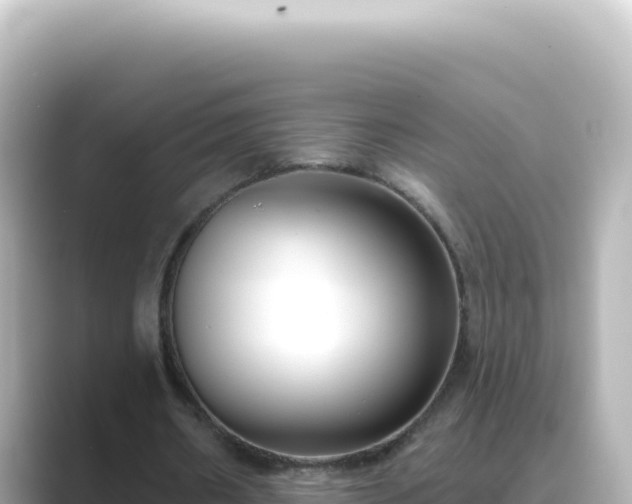 X0000089440482200706221232