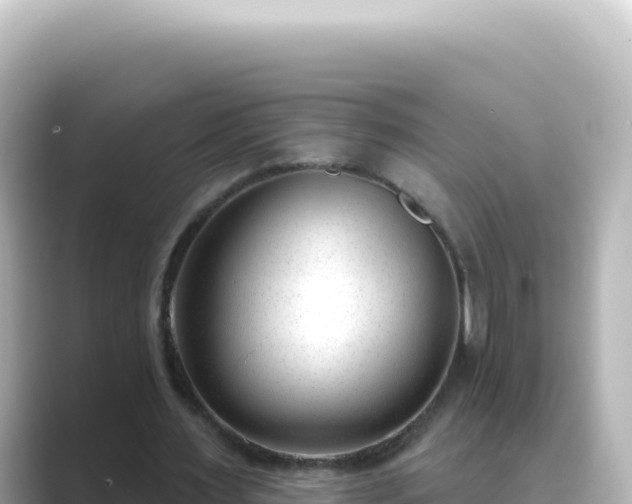 X0000089440483200706221232