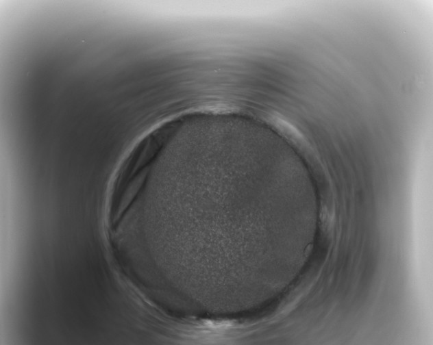 X0000089440484200706221232