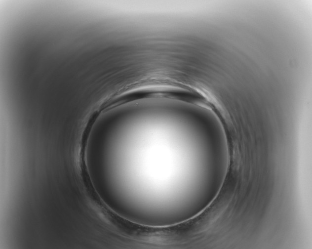 X0000089440485200706221232