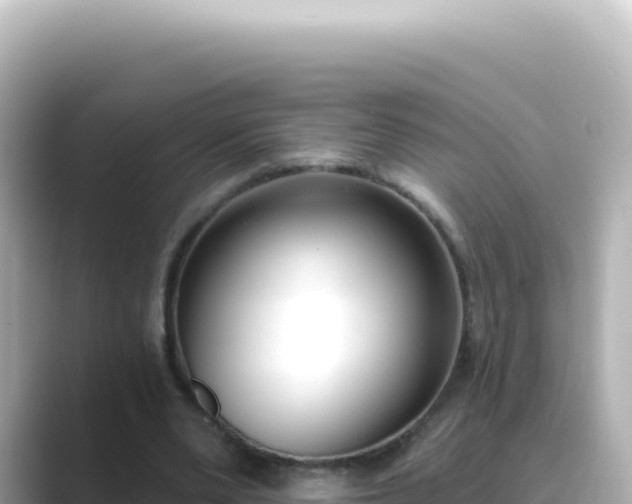 X0000089440486200706221232