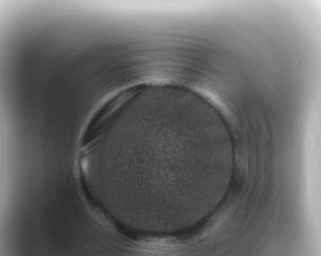 X0000089440488200706221232