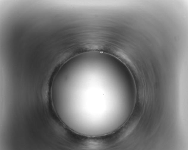 X0000089440490200706221232
