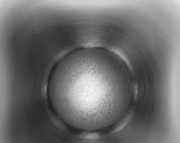X0000089440491200706221232