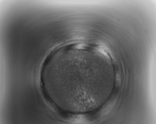 X0000089440492200706221232