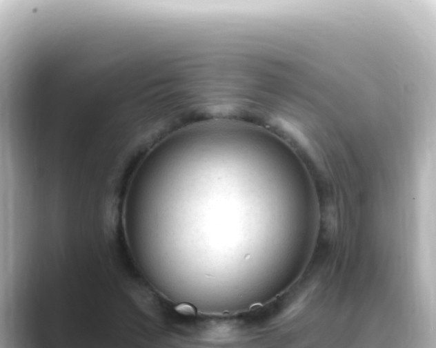 X0000089440495200706221232