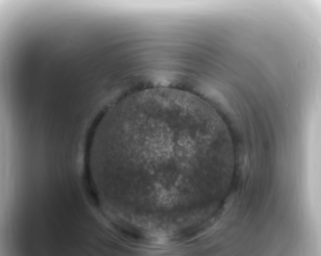X0000089440496200706221232