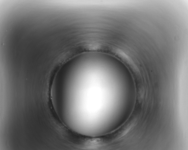 X0000089440497200706221232