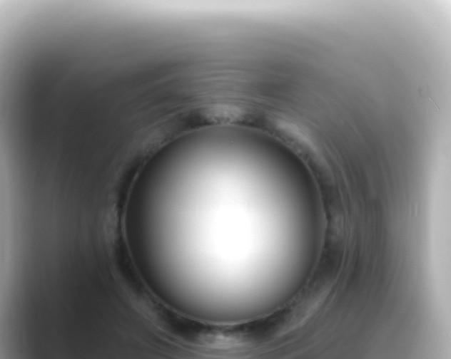 X0000089440498200706221232