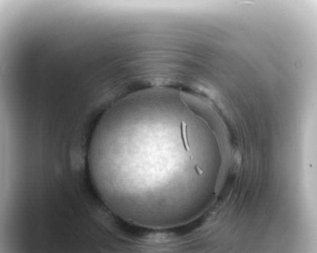 X0000089440499200706221232