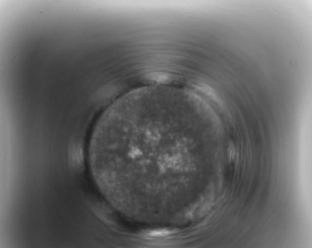 X0000089440500200706221232