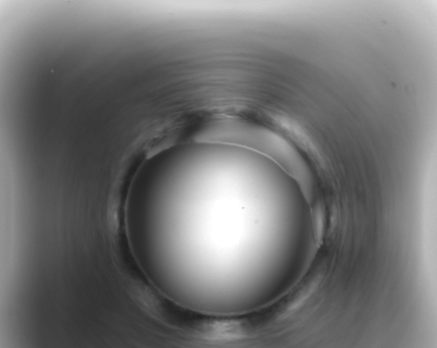 X0000089440501200706221232