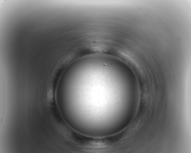 X0000089440502200706221232