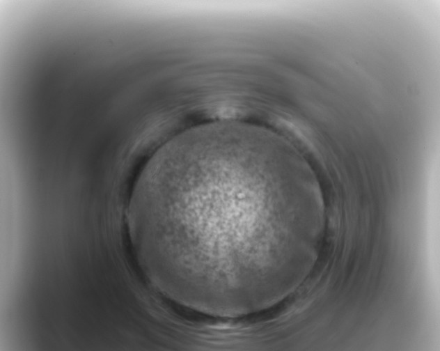 X0000089440503200706221232