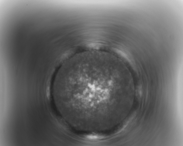 X0000089440504200706221231