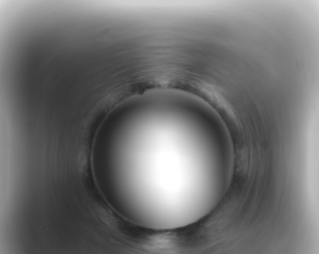 X0000089440505200706221231
