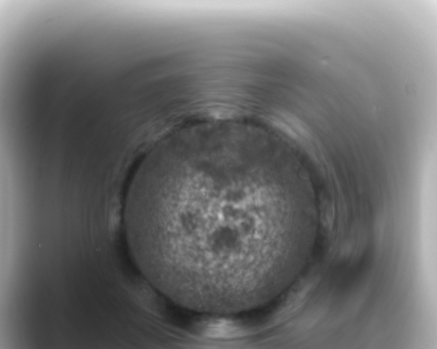 X0000089440507200706221231