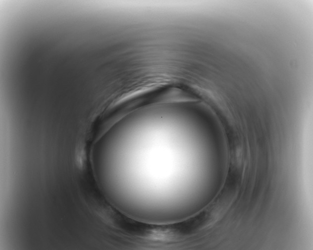 X0000089440508200706221231