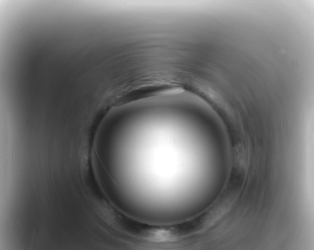 X0000089440509200706221231