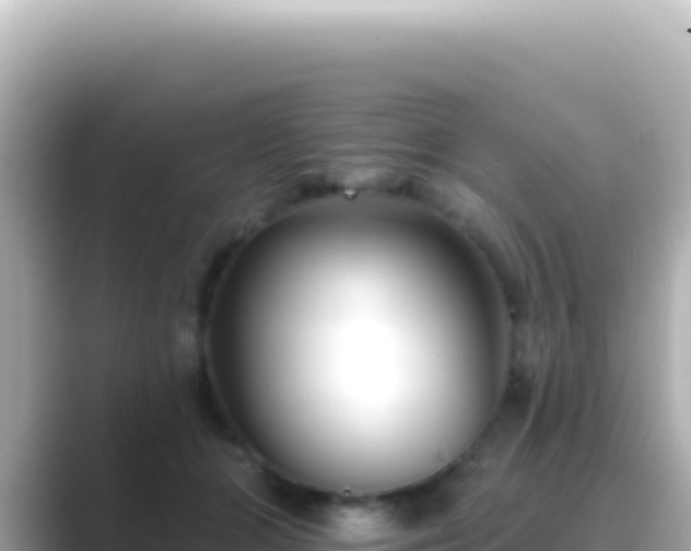 X0000089440510200706221231