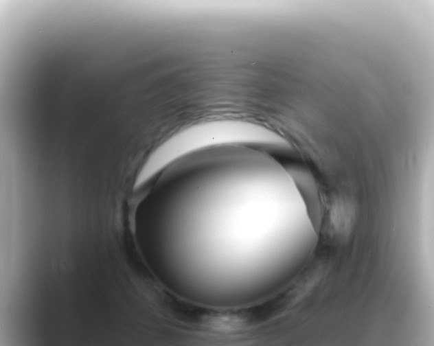 X0000089440512200706221231