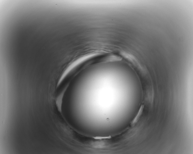 X0000089440513200706221231