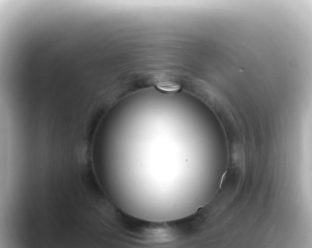 X0000089440514200706221231