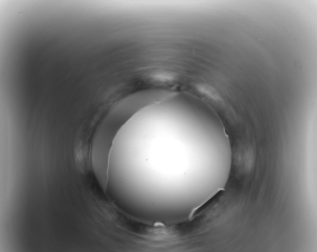 X0000089440516200706221231
