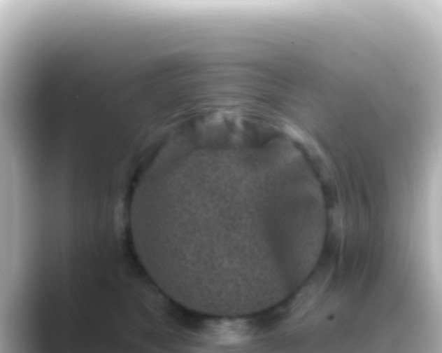 X0000089440517200706221231