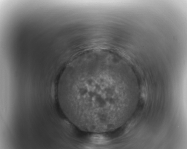 X0000089440519200706221231
