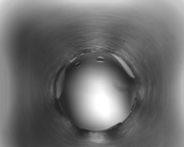 X0000089440520200706221231