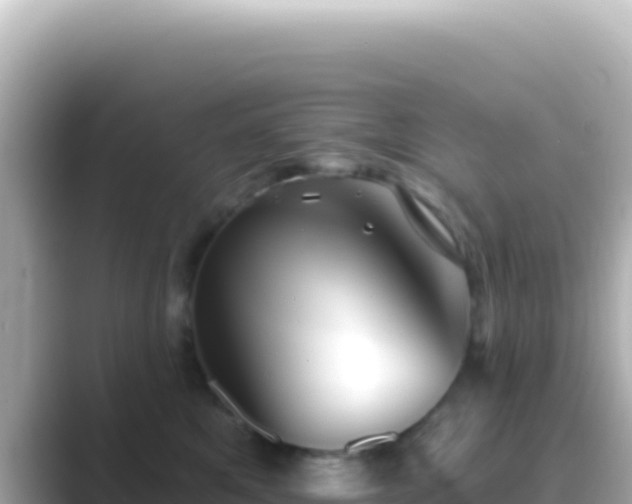 X0000089440521200706221231