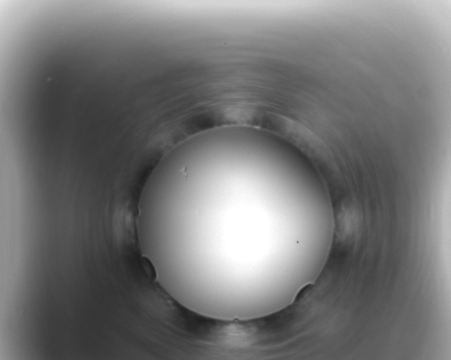 X0000089440522200706221231