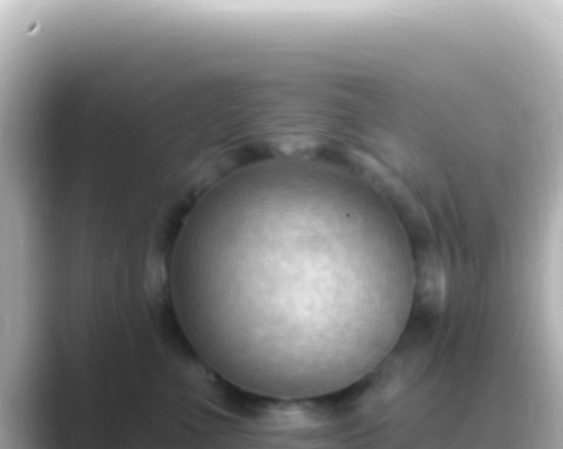 X0000089440523200706221231