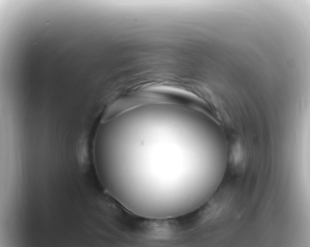 X0000089440524200706221231