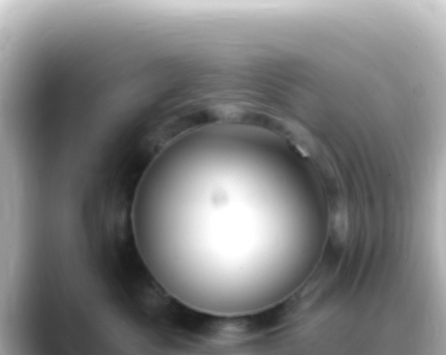 X0000089440525200706221231