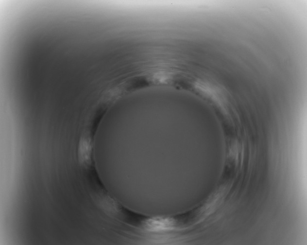 X0000089440526200706221231