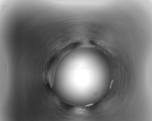 X0000089440528200706221231