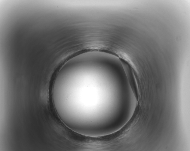X0000089440531200706221231