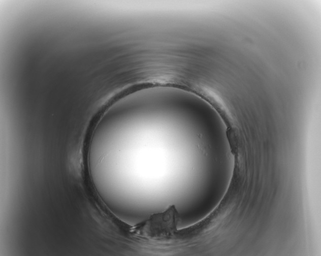 X0000089440532200706221231