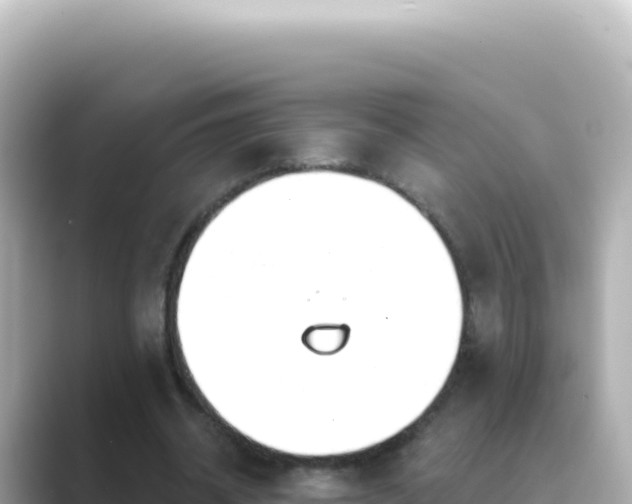 X0000089440534200706221231